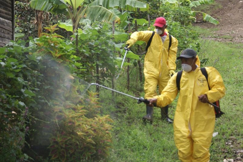 Trabajadores con traje de protección fumigando un cultivo